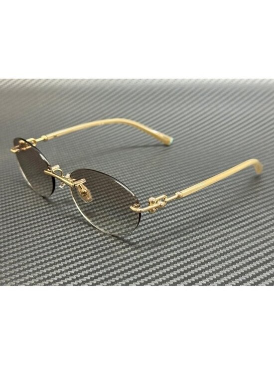 New Tiffany & Co. Women Pale Gold Sunglasses 56-18-140